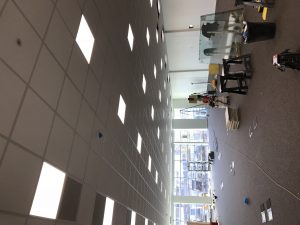 IMG_0208
